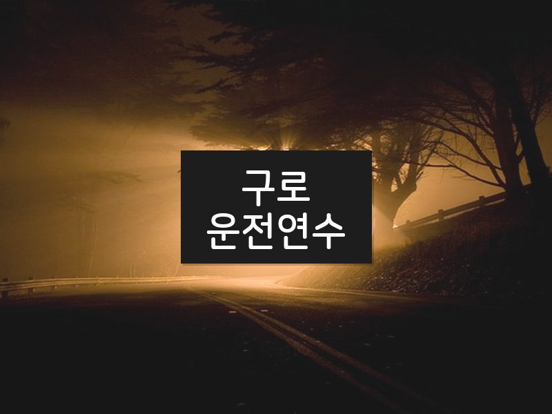 구로운전연수 후기