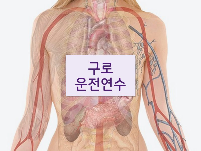 구로운전연수 후기