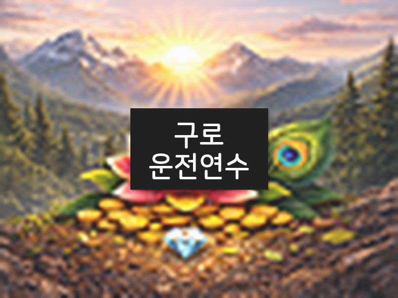 구로운전연수 후기
