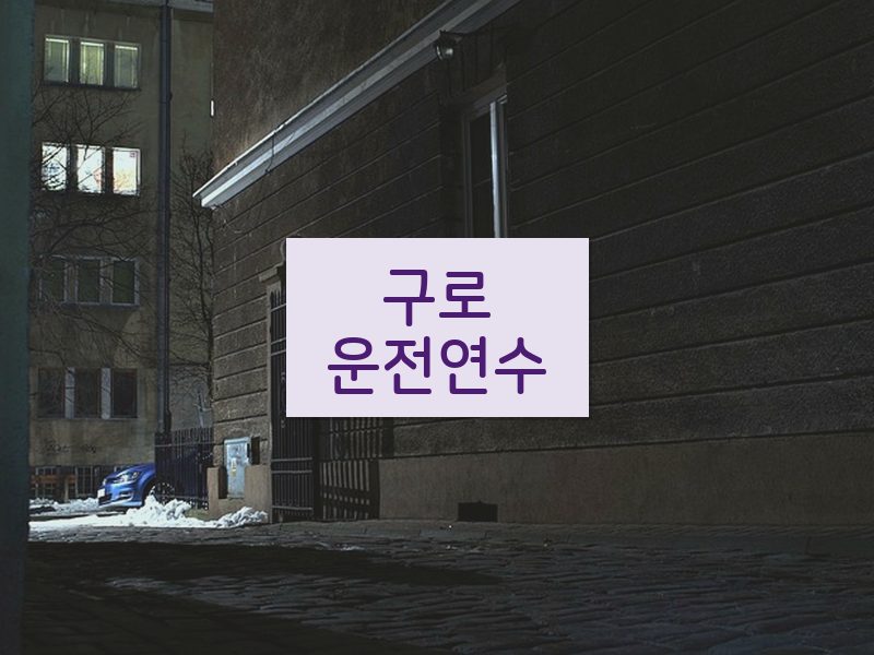 구로운전연수 후기
