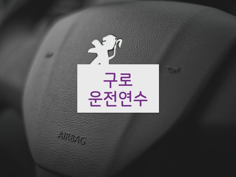 구로운전연수 후기
