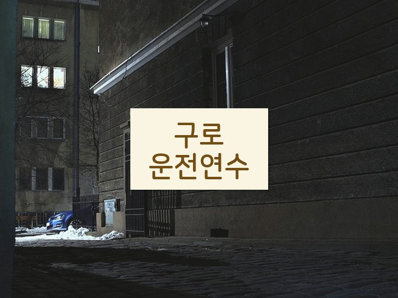 구로운전연수 후기