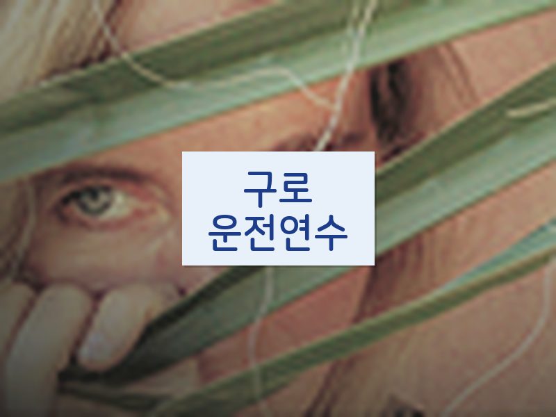 구로운전연수 후기