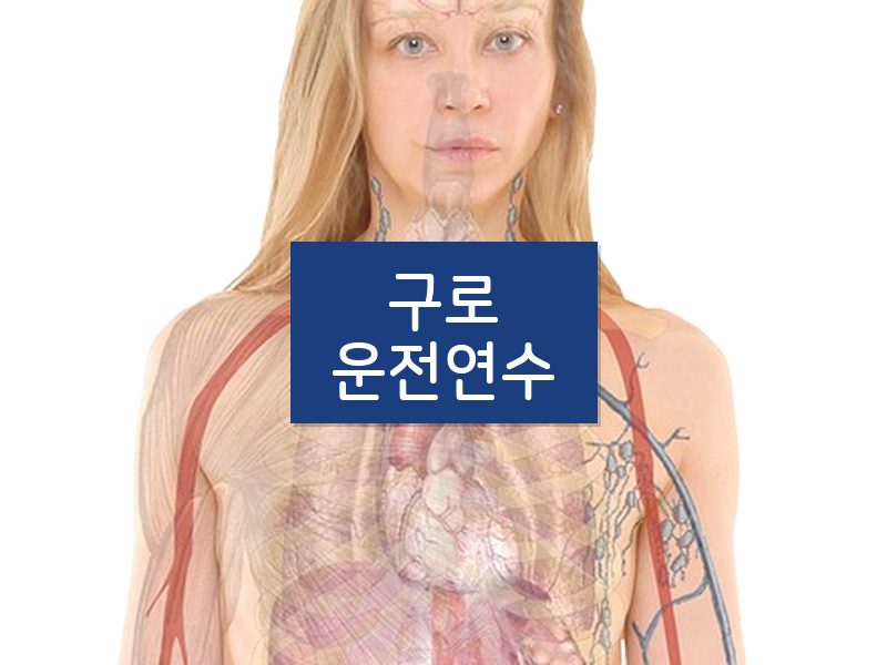 구로운전연수 후기