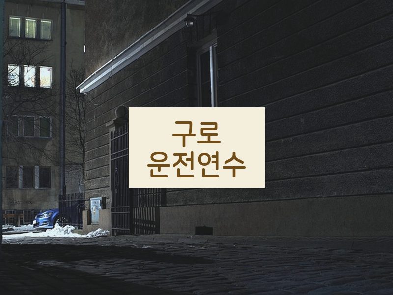 구로운전연수 후기