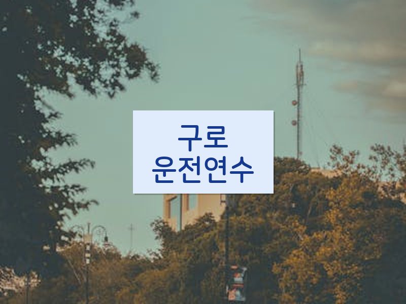 구로운전연수 후기