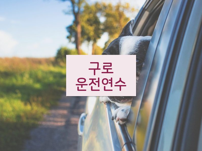구로운전연수 후기