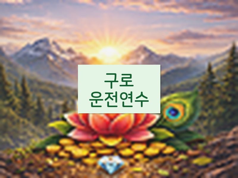 구로운전연수 후기