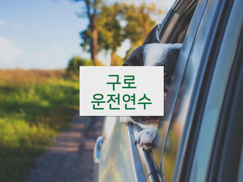 구로운전연수 후기