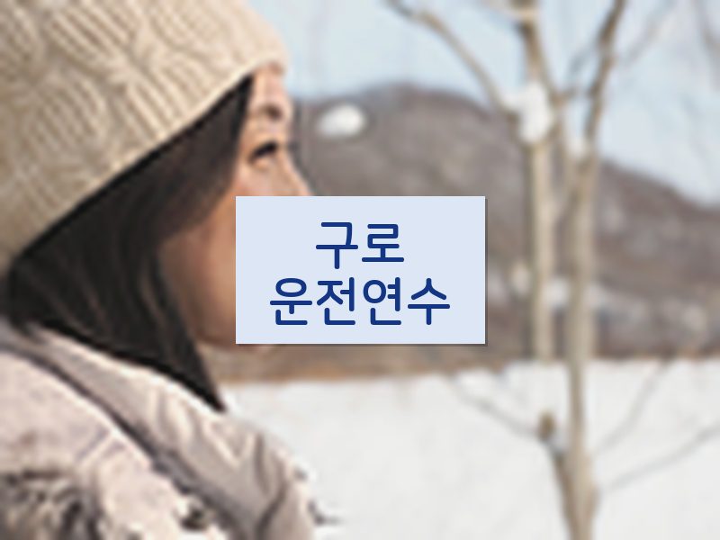 구로운전연수 후기