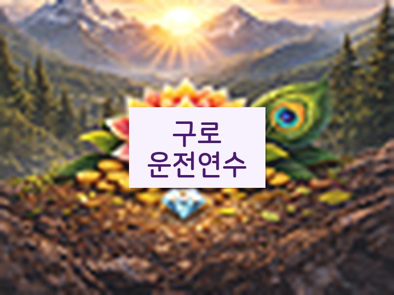 구로운전연수 후기