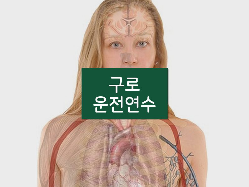 구로운전연수 후기