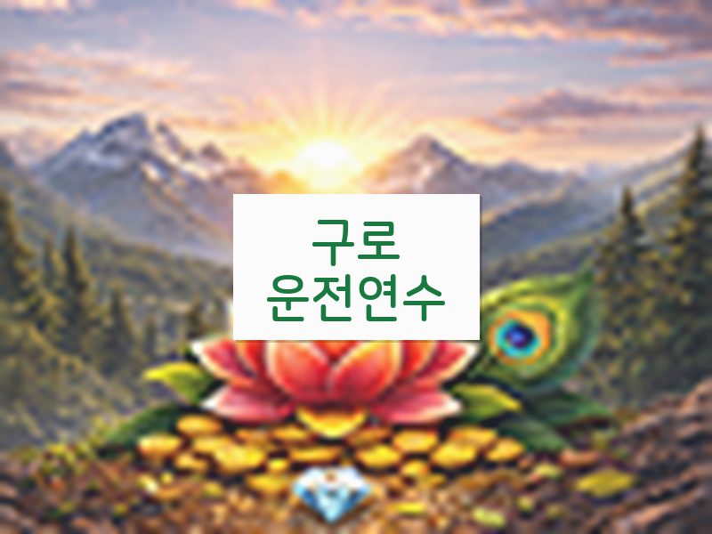 구로운전연수 후기