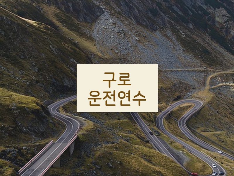 구로운전연수 후기