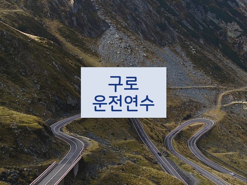 구로운전연수 후기