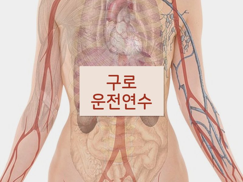 구로운전연수 후기