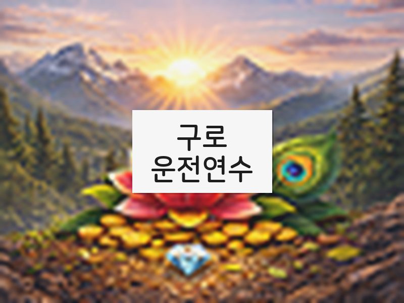 구로운전연수 후기