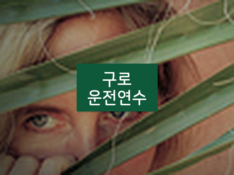 구로운전연수 후기