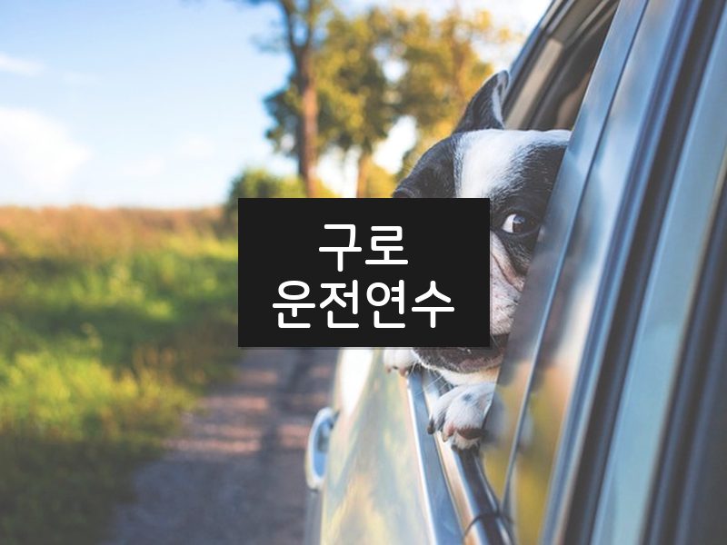 구로운전연수 후기