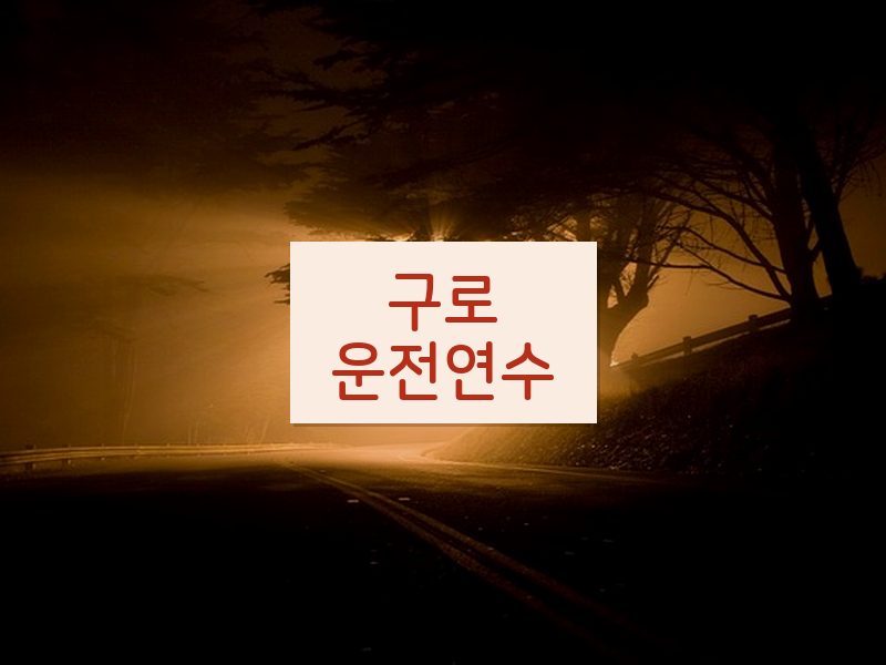 구로운전연수 후기