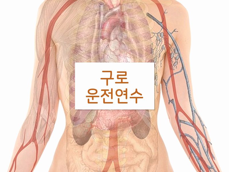 구로운전연수 후기