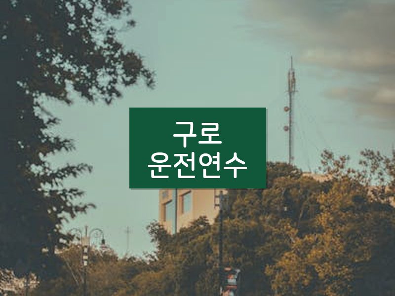 구로운전연수 후기