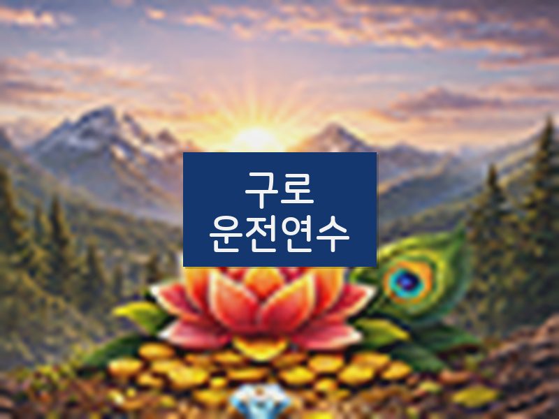 구로운전연수 후기