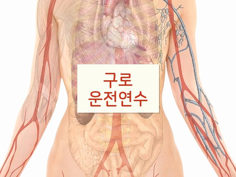 구로운전연수 후기