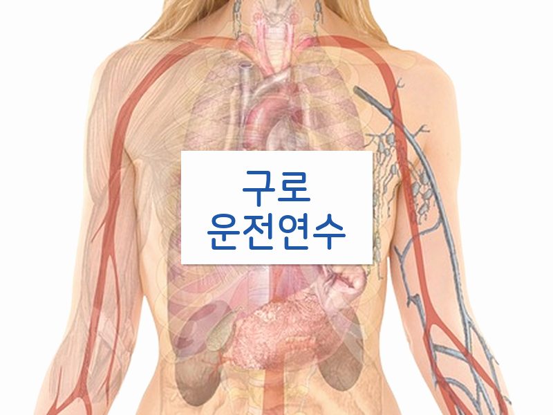 구로운전연수 후기