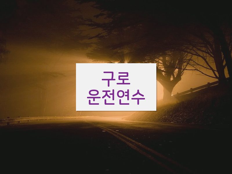 구로운전연수 후기