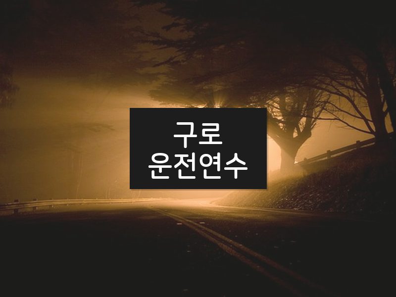 구로운전연수 후기
