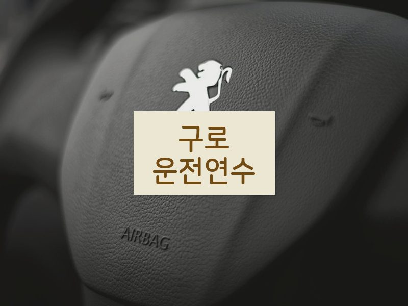구로운전연수 후기