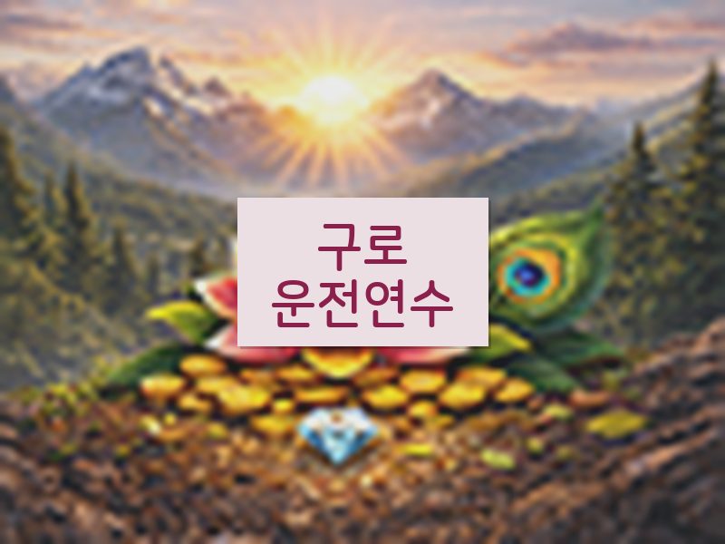 구로운전연수 후기
