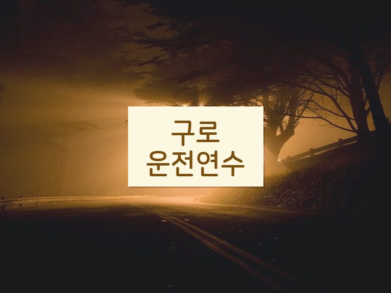 구로운전연수 후기