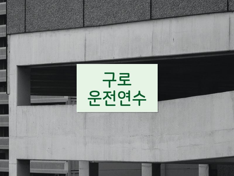 구로운전연수 후기
