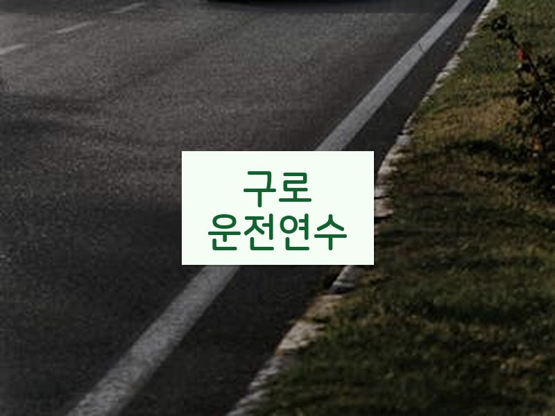 구로운전연수 후기