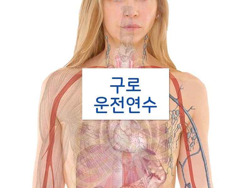 구로운전연수 후기
