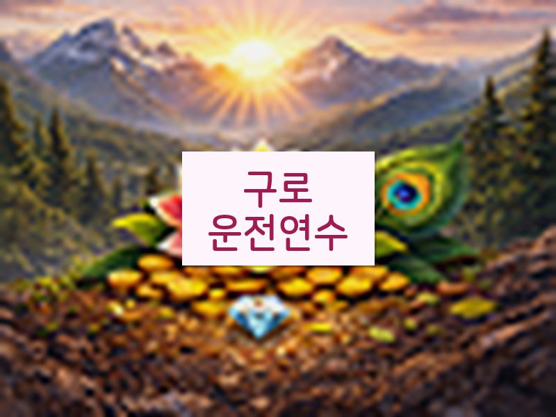 구로운전연수 후기