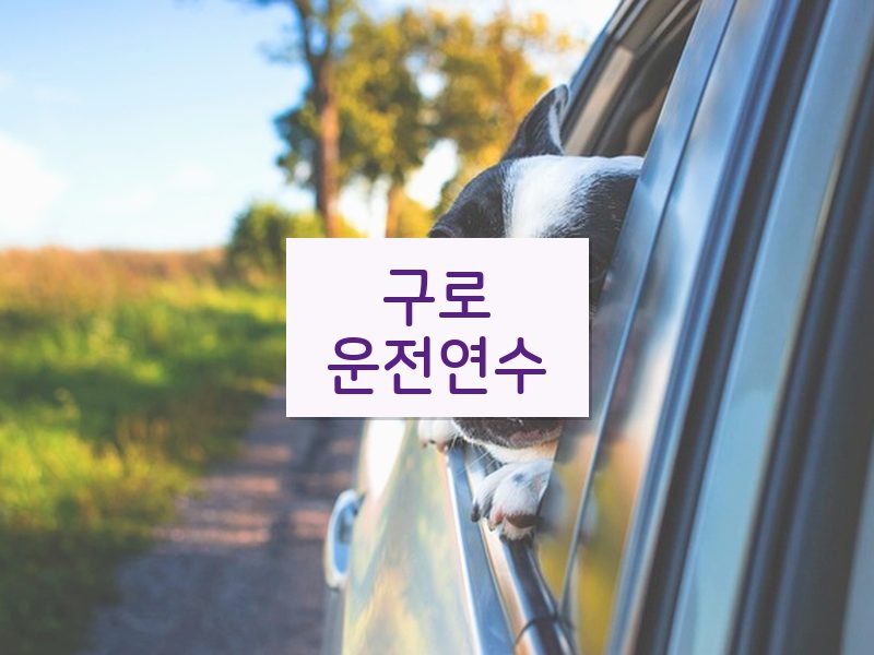 구로운전연수 후기