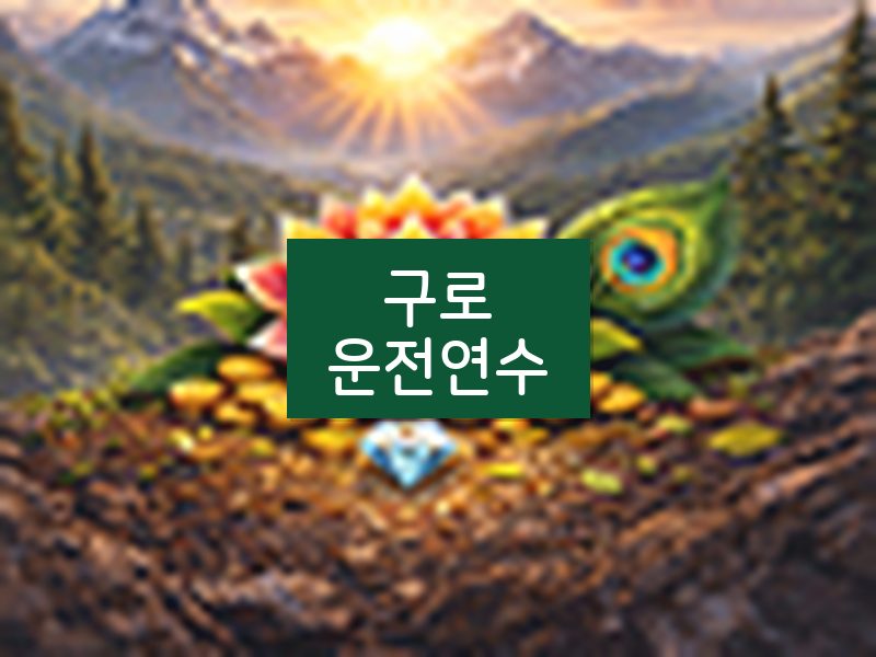 구로운전연수 후기