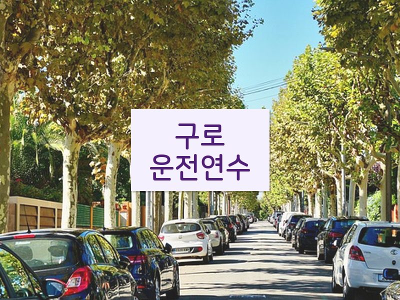 구로운전연수 후기