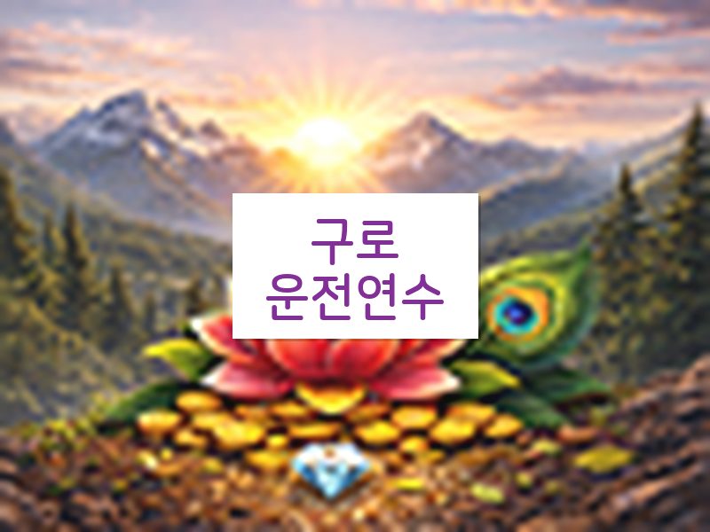 구로운전연수 후기