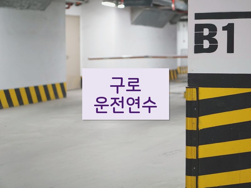 구로운전연수 후기