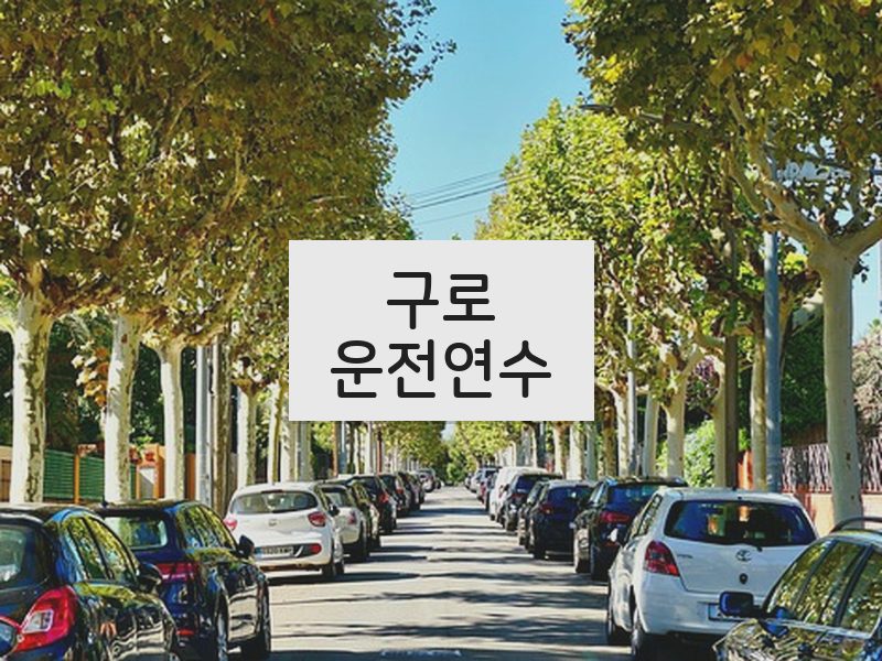 구로운전연수 후기