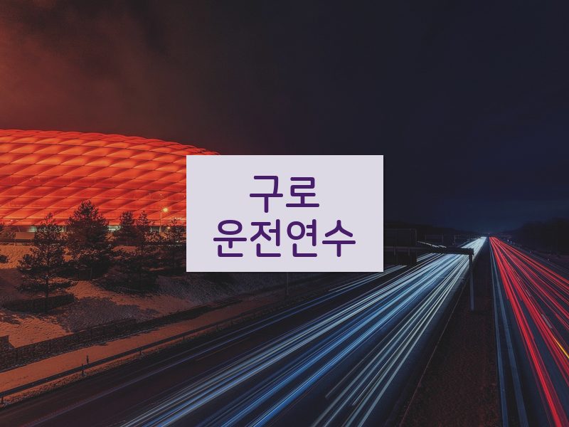 구로운전연수 후기