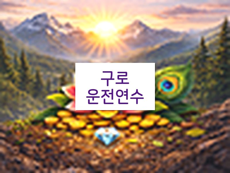 구로운전연수 후기