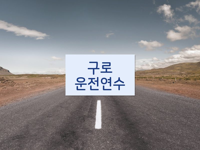 구로운전연수 후기
