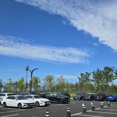 일상 경로 연습 편리해요 후기 이미지