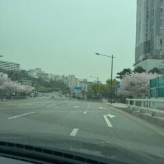 첫 밤 운전기 후기 이미지