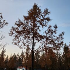 좌회전 공포 극복! 후기 이미지